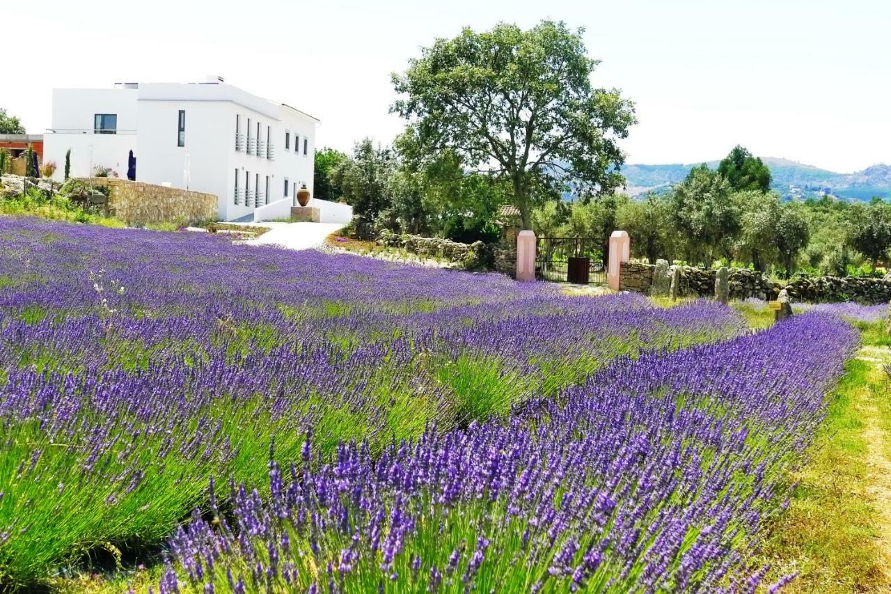 Quinta das Lavandas Castelo de Vide Exterior foto